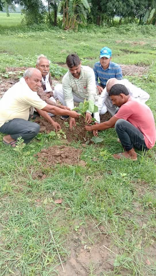 पर्यावरण संरक्षण